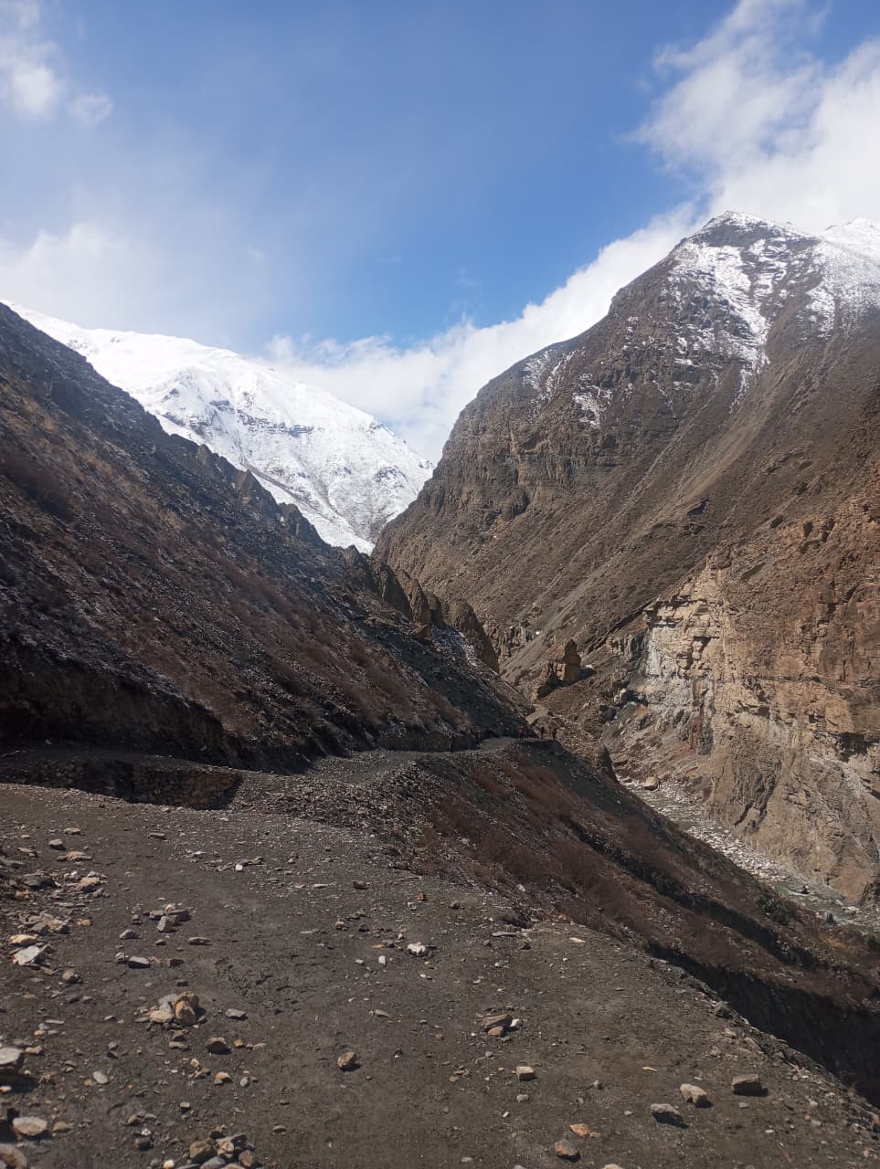 Pikey Peak Trek