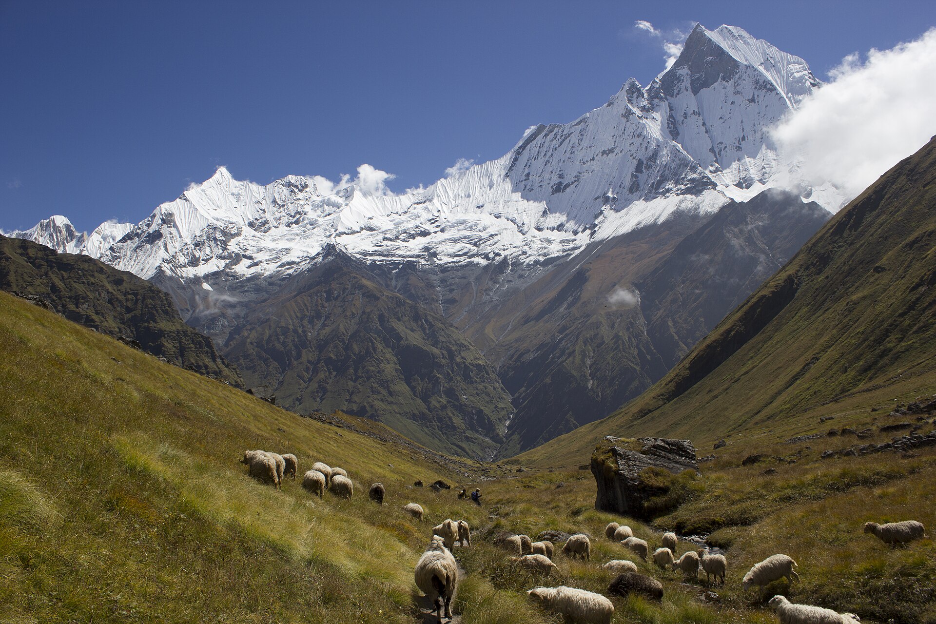 Annapurna Base Camp — photo 5