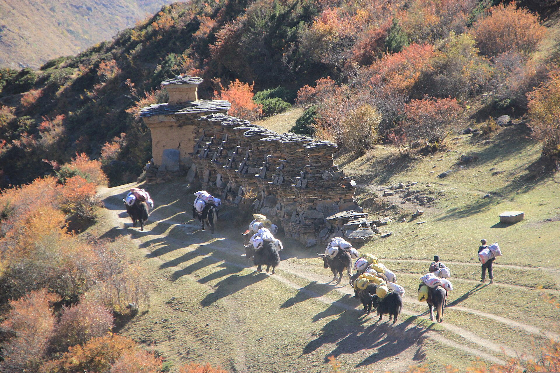 Tsum Valley Trek — photo 3