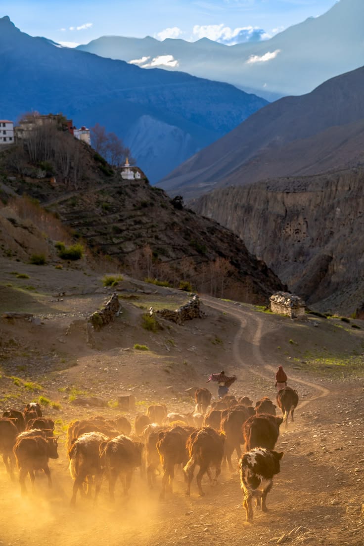 Upper Dolpo Base Camp Trek — photo 1